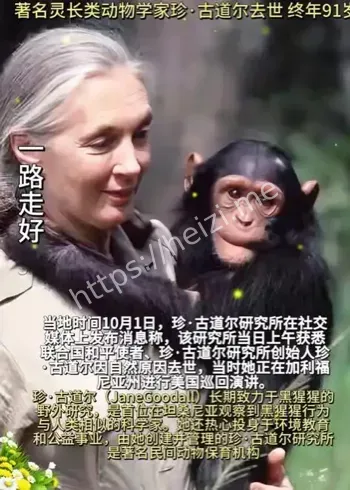 珍·古道尔去世讣告